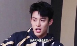 王鹤棣近期娱乐八卦爆料,娱乐圈再掀波澜
