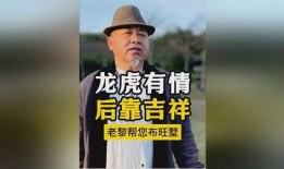 龙虎情全集在线观看,激情燃烧的江湖传奇