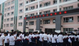 衡安中学爆料事件始末视频,真相与争议的交织
