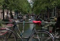 单车爆料视频下载网站,海量资源一网打尽