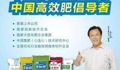 河南省农信社最新爆料,揭秘金融创新与风险防控新动态