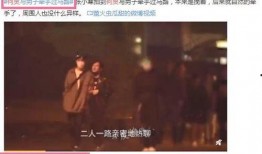 何炅绯闻爆料视频,真相与谣言的交织