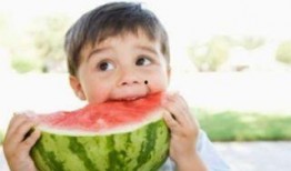 宝宝吃蒲瓜视频大全集免费观看,免费观看视频大全集