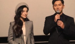 李晨爆料细节视频大全,揭秘幕后故事与精彩瞬间