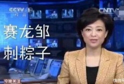 三亚主持人爆料新闻事件,揭秘某重大新闻事件内幕