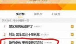 卓伟爆料陈晓视频合集,陈晓视频合集幕后真相大起底
