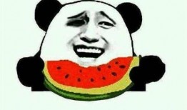 虎虎爱娱乐吃瓜,揭秘娱乐圈那些吃瓜背后的故事