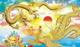 龙飞凤舞全集在线观看,在线观看不容错过！