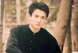 娱乐圈吃瓜大合集杨洋,娱乐圈风云变幻中的璀璨星辉
