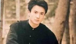 娱乐圈吃瓜大合集杨洋,娱乐圈风云变幻中的璀璨星辉