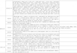 国风伙伴最新爆料视频大全,揭秘视频大全背后的精彩瞬间