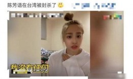 陈芳语爆料视频,独家爆料视频背后的故事