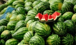 还有哪些吃瓜的网红,盘点当下热门的吃瓜网红