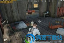 吃鸡宠物爆料大全最新下载,最新下载版深度解析