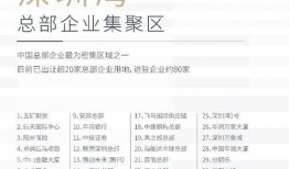 深圳爆料大事件视频播放,视频揭秘城市热点瞬间