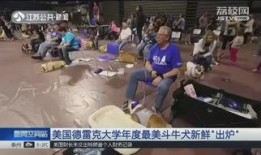 德雷克最新爆料,娱乐圈背后的惊人真相