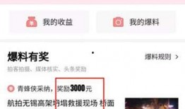 今日头条爆料啥意思,揭秘热门事件背后真相