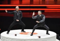 马老师爆料太极拳视频播放,太极拳视频背后的神秘力量