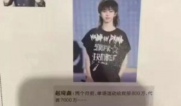 林海爆料出国视频,异国风情与生活点滴