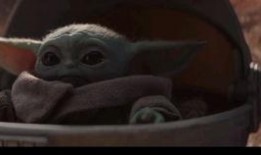 绝命沙漠 在线观看,生死逃亡的极限挑战