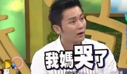 李晨爆料细节视频大全,揭秘幕后故事与精彩瞬间
