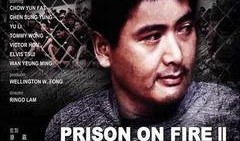 监狱风云2国语在线观看,重获自由的征程国语版在线观影指南