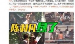 草神爆料博主视频大全,揭秘神秘力量背后的故事