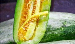 还有哪些吃瓜的网红,盘点当下热门的吃瓜网红