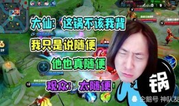 张大仙国服爆料视频下载,揭秘游戏内幕与精彩瞬间