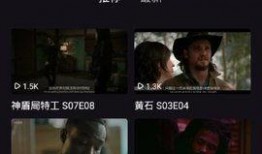 在线观看在线视频,在线视频的精彩概览