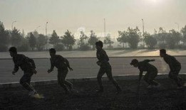 性志愿者在线观看,揭秘网络性交易背后的真实世界