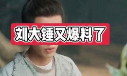 刘大锤爆料朱亚文视频,揭秘明星幕后生活片段