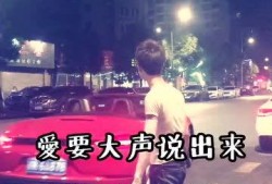爱河 mv在线观看,浪漫旋律中的情感之旅