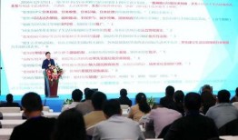 新龙袍外观爆料视频大全,揭秘视频大全中的绝美瞬间