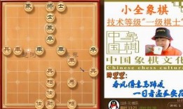张大仙爆料象棋视频,象棋高手背后的神秘技巧与策略