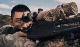 狙击手电视剧在线观看,生死对决，绝境求生