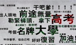 一只快乐吃瓜喵小说免费阅读,趣味横生的喵星奇遇记