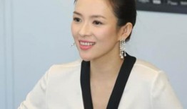 章子怡爆料王岳伦视频,一段不为人知的家庭风波