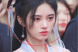 明星爆料白鹿视频大全集,明星爆料背后的精彩瞬间