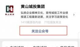 城投是谁爆料的啊视频播放,城投是谁爆料的？揭秘“视频播放”背后的真相