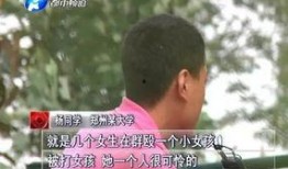 河南爆料女孩视频大全集,揭秘背后真相与争议