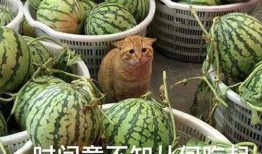 三个瓜最新爆料,揭秘三个瓜最新爆料背后的惊人真相