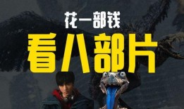 749在线观看,揭秘神秘数字背后的故事