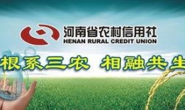 河南省农信社最新爆料,揭秘金融创新与风险防控新动态