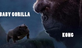 骷髅金刚岛在线观看,探险者的惊魂之旅