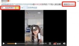 臭猪网红日本爆料视频播放,臭猪视频播放背后的惊人真相