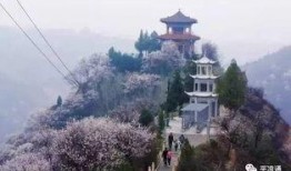 大美庆阳风景爆料视频下载,视频揭秘大美庆阳自然与人文景观