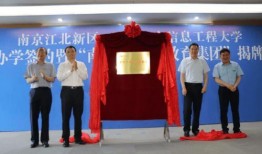 全冠新品爆料最新消息视频,最新爆料视频深度解析